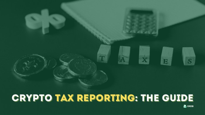 Tax Reporting Cryptocurrency Guide 2024 | Everything about Crypto and Taxes