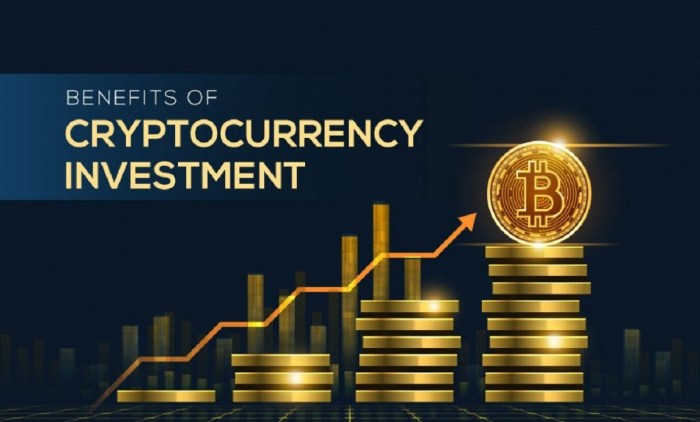 How To Invest In Cryptocurrency Reddit | Robots.net